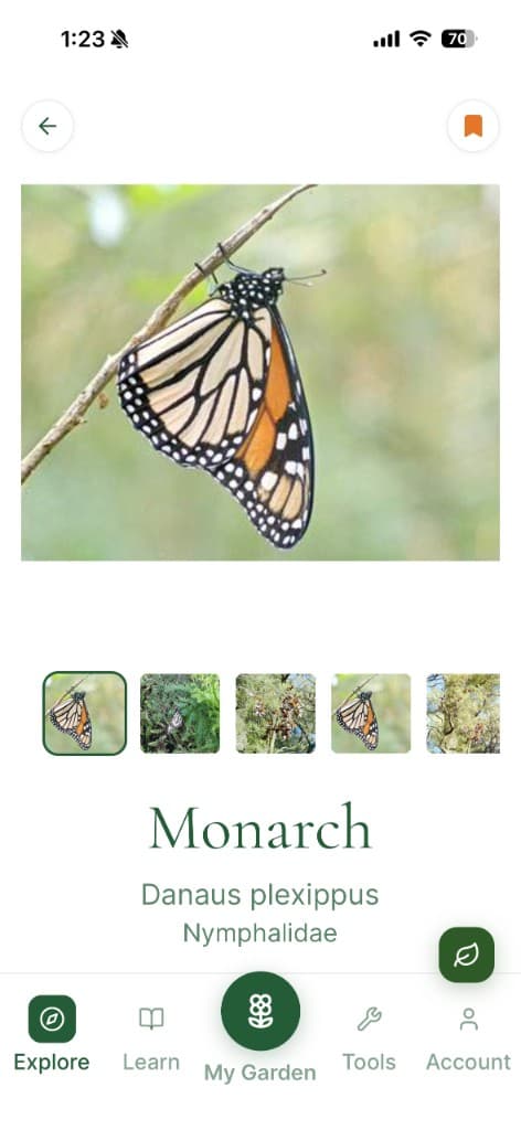 Butterfly Guide screen