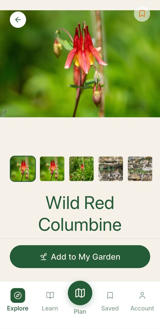 Plant Details screen