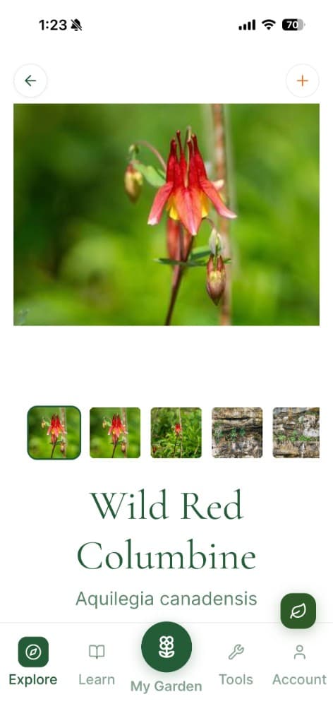 Plant Profile screen